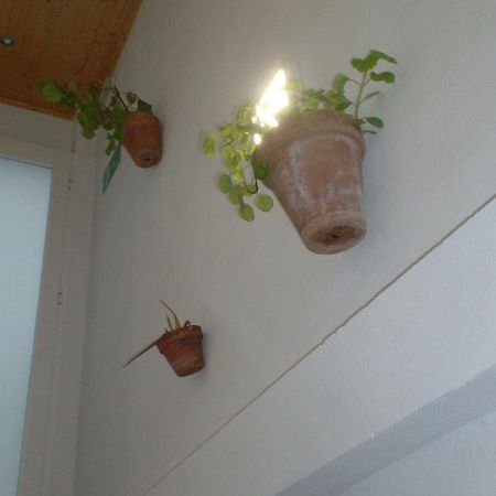 Rural Rocio Ξενοδοχείο El Rocío Εξωτερικό φωτογραφία