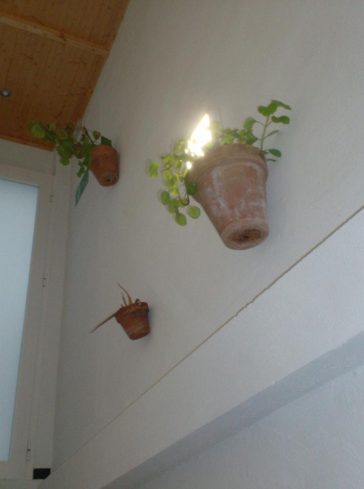 Rural Rocio Ξενοδοχείο El Rocío Εξωτερικό φωτογραφία